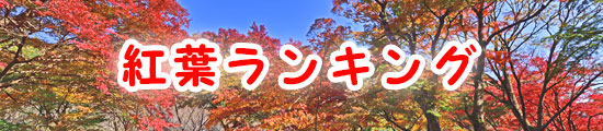 紅葉ランキング