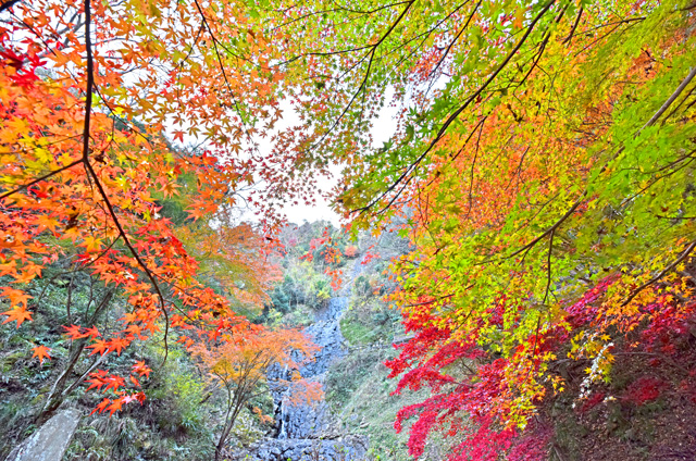 旭滝と紅葉