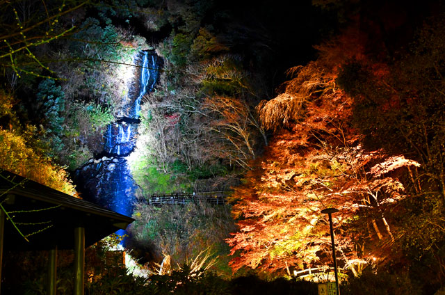 旭滝のライトアップ